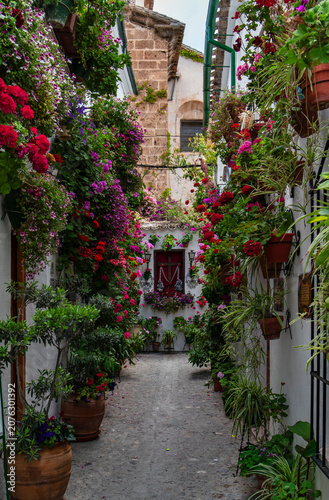 A picturesque narrow street scene in Priego de Córdoba, Andalusia. The white stucco walls are beautifully adorned with cascading pots of vibrant red and purple flowers, creating a romantic Mediterrane