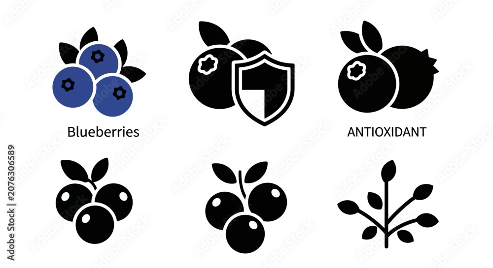 Fototapeta premium Blueberry Icons: Antioxidant, Health Benefits, Fresh Fruit, Superfood, Vector Graphics