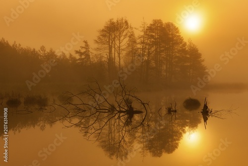 Mystical landscape with reflecting water and sunset atmosphere, Schwenninger moss, Villingen-Schwenningen, Black Forest-Baarkreis, Baden-Württemberg, Germany
