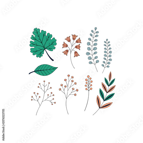 Elegant Tropical Botanical Leaf Collection Vector Set Isolated on White Background