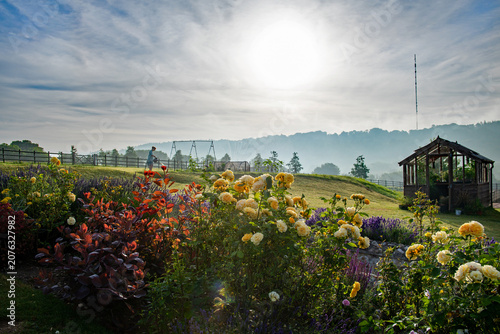 Gardening picture featuring a lady watering her garden with an early morning sunrise over a vegetable patch. Colourful flowers fill the foreground. A sunrise with spectacular sky fills the background.