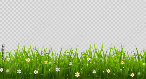 Green grass border isolated on png background. Spring green grass.
