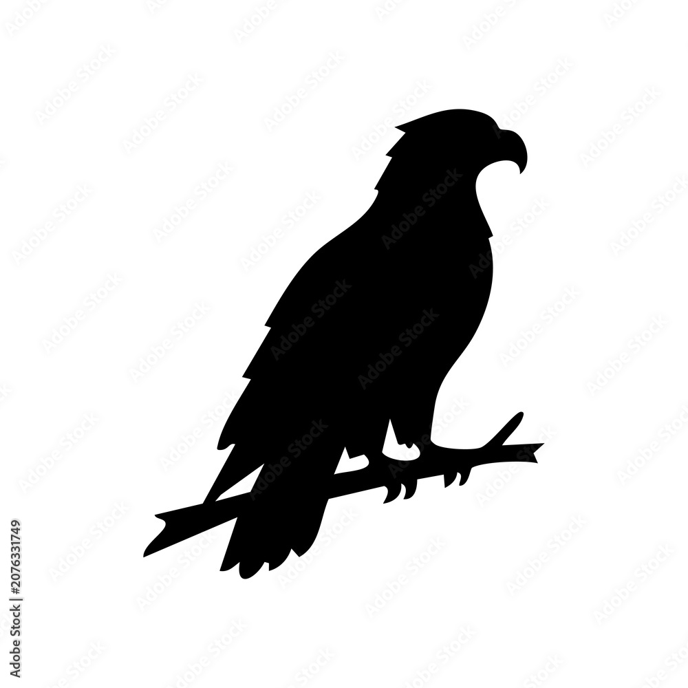 Fototapeta premium USA bald eagle vector silhouette