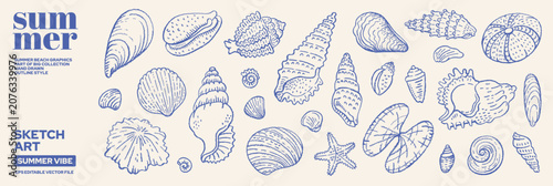 Photography Seashell vintage set