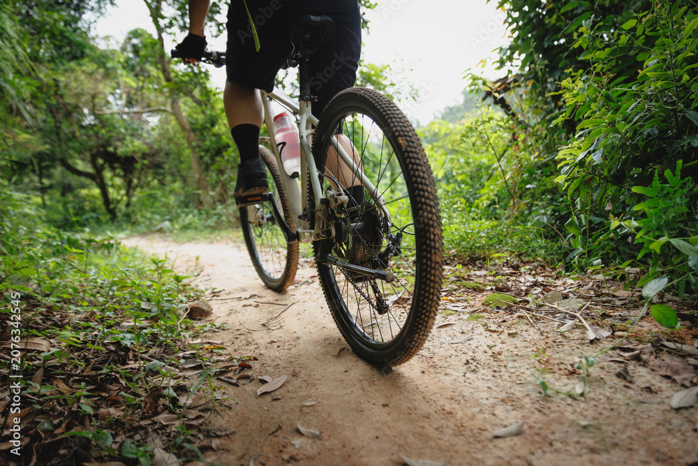 Fototapeta premium Cycling on the trail in tropical forest