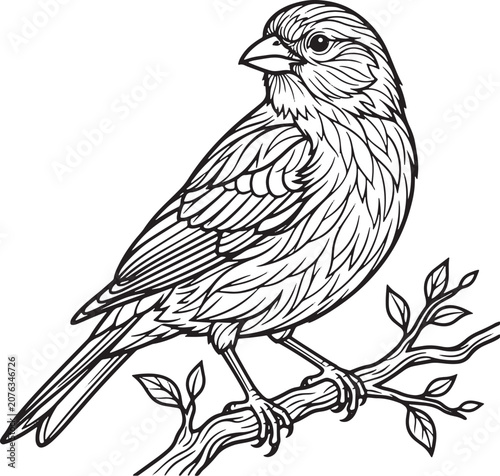 Small finch resting on a slender branch with leaves