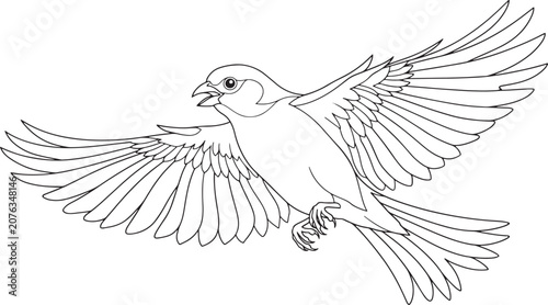 Sparrow flying with wings fully extended