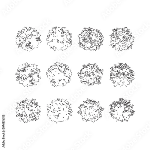 Canvas-taulu Top view of outline black tree icon for landscaping and architectural design on transparent