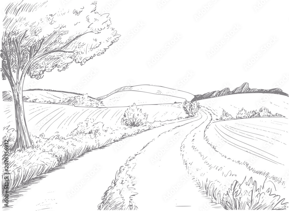 Fototapeta premium Of a winding country road through rolling hills and fields