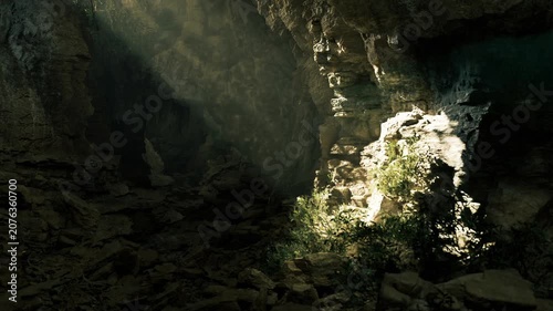 Bioluminescent ceiling with soft glow and textured walls in Waitomo Glowworm Caves, evocative research setting with ecological detail, damp floor, moss pockets