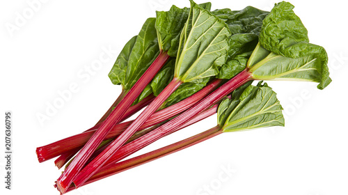 Foto Red rhubarb stalks with green leaves