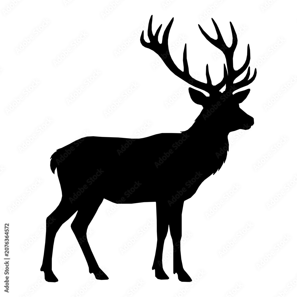 Fototapeta premium deer silhouette vector