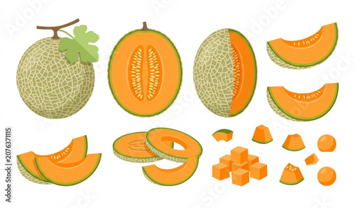 Bild auf Leinwand Cantaloupe Melon Collection with Whole Half Sliced Cubes and Fresh Fruit Pieces