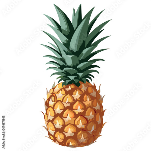 Fresh Pineapple Vector Illustration, Tropical Fruit with Green Leaves Isolated on White Background, Realistic Exotic Food Clip art.
