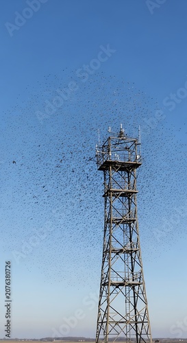 Tall Metal Observation Tower Surrounded by Flock of Birds Against Clear Blue Sky