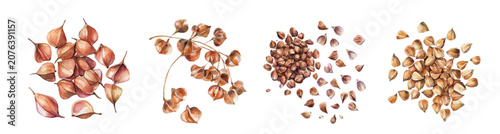 Bild auf Leinwand A collection of minimal yet artistic elements for creative designs isolated on a white background