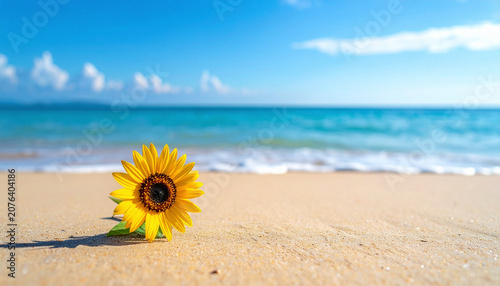Beautiful beach background with a small sunflower 2