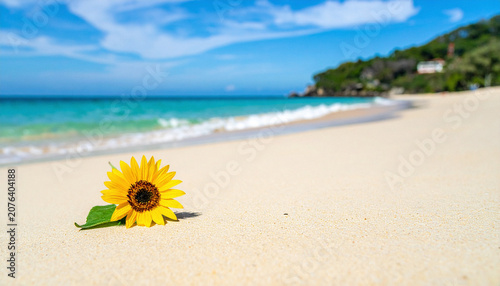 Beautiful beach background with a small sunflower 3