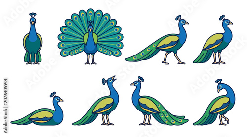 Set of stylized peacock illustrations in various poses and positions for graphic design projects.