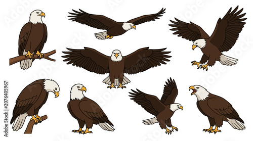 Set of cartoon bald eagles in various poses isolated on a white background.