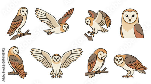 Set of cute barn owl illustrations in various poses and actions.