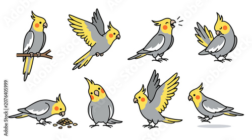 Set of cute cartoon cockatiel parrot illustrations in various poses and activities.