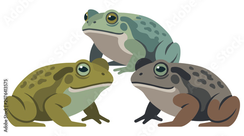 Foto Group of three realistic frogs sitting in different poses.