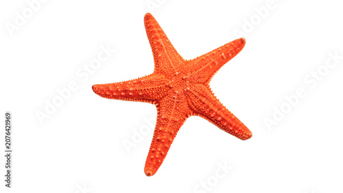 Foto Vibrant orange starfish sea star marine animal isolated on a transparent backgro