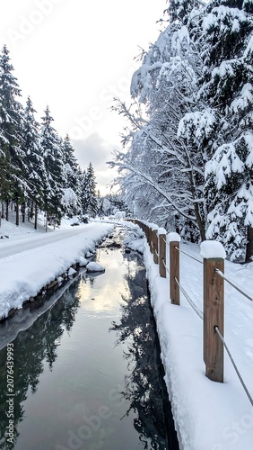 Snowy mountain road winding through evergreen forest.
