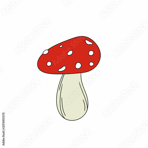 Fotografía fly agaric mushroom