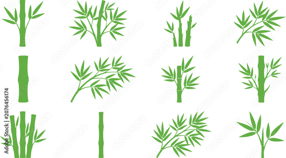 Fototapeta premium Set of green bamboo stalks and leaves