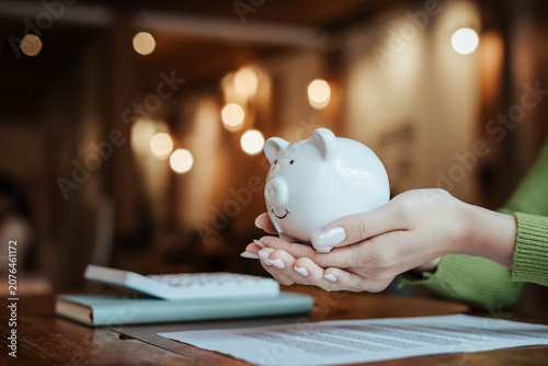 Protecting Savings with Piggy Bank and Hands in Financial Security Concept