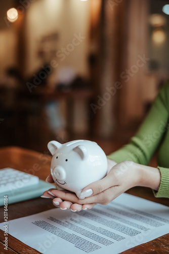 Protecting Savings with Piggy Bank and Hands in Financial Security Concept
