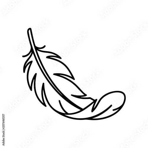 Tableau sur toile Detailed illustration of a single feather.