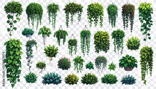 Variety of Green Leafy Plants Collection.