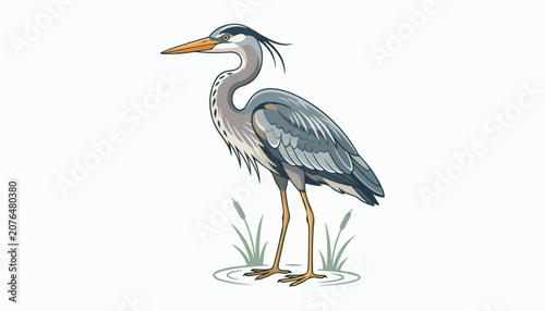 Foto Herons bird clipart vector illustration
