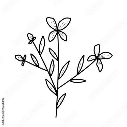 Hand Drawn Line Art Flower Icon Minimal Botanical Outline