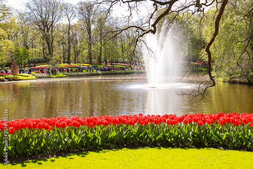 Obraz na plátně Photo taken in April 2026 at Keukenhof Gardens in Lisse, Netherlands, showing a fountain surrounded by red tulips in a famous spring flower park landscape