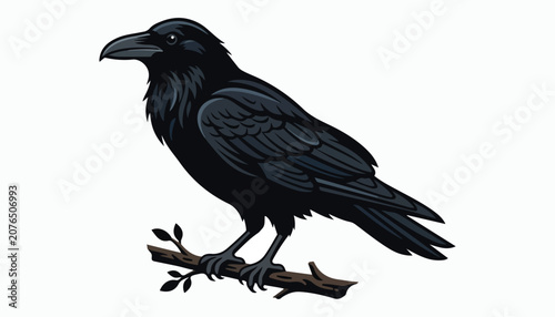 Obraz na plátne crow bird clipart vector illustration