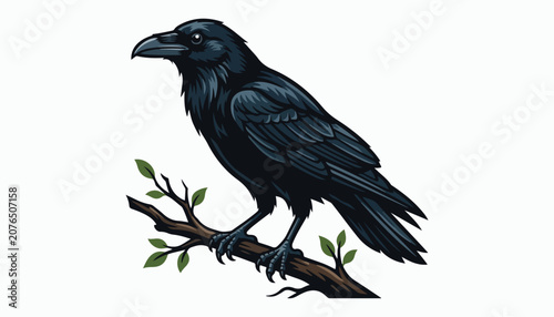 Obraz na plátne crow bird clipart vector illustration
