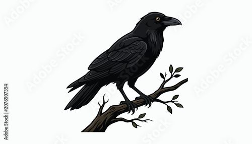 Fotografía crow bird clipart vector illustration