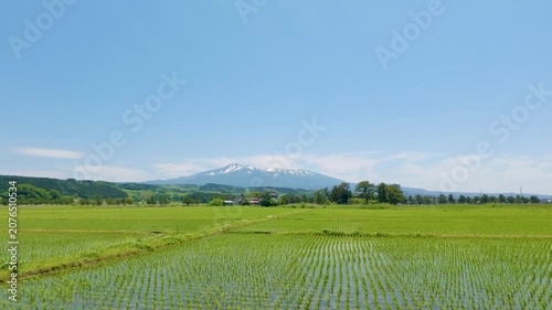 鳥海山と九十九島の水田（秋田県にかほ市）