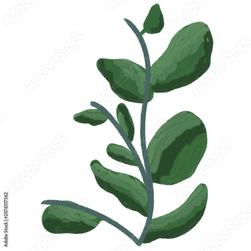 Green botanical leaf branch illustration with artistic crayon texture