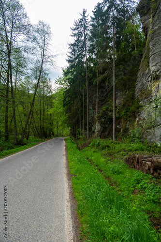 Scenic forest road winding through the iconic sandstone rock formations of the beautiful Bohemian Paradise, Czech Republic, surrounded by lush nature and summer greenery.