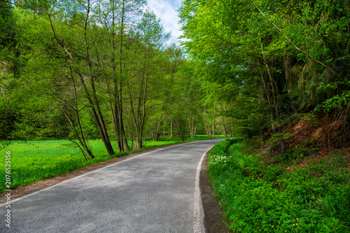 Scenic forest road winding through the iconic sandstone rock formations of the beautiful Bohemian Paradise, Czech Republic, surrounded by lush nature and summer greenery.