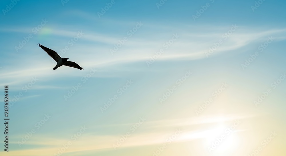 Naklejka premium Silhouette of a lone seagull flying in a bright sunny blue sky