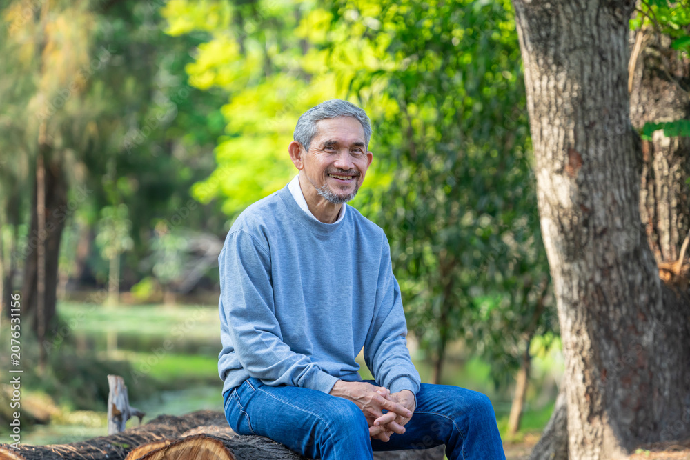 Obraz premium portrait smiling senior man resting in nature,sitting on a log in the forest,elderly pensioner lifestyle,travel,relaxation