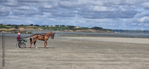 Fotografía Cheval trotteur attelé evolue sur une vaste plage de Bretagne à marée basse, sous un ciel spectaculaire chargé de nuages