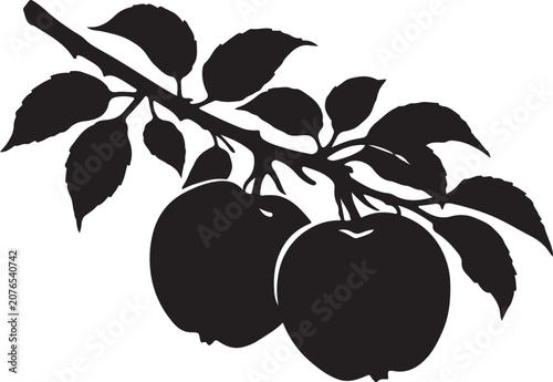 Fotografia Fresh apple on branch look so appetizing silhouette vector