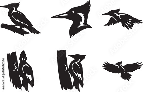 Φωτογραφία Ivory billed woodpecker silhouette vector different style
